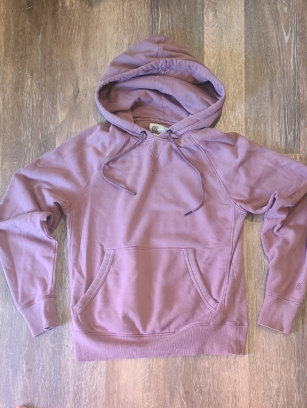 Champion Dusty Rose Hoodie